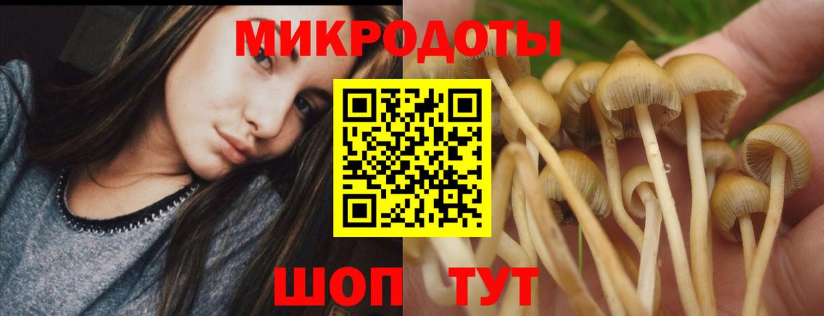 Галлюциногенные грибы GOLDEN TEACHER  Вход с VPN  Краснознаменск 
